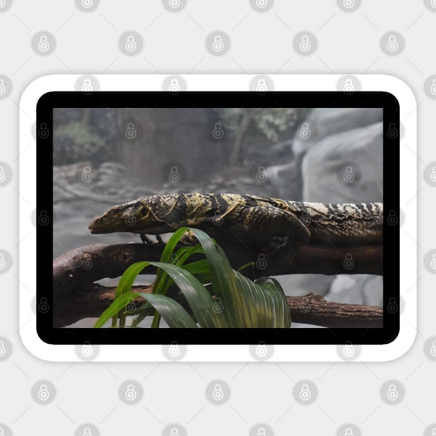 Monitor Lizard Sticker by MarieDarcy